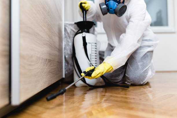 Best Commercial Pest Control Services  in Cowan, TN