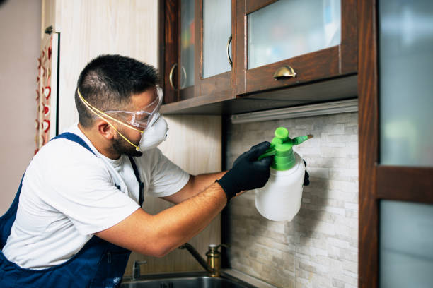 Best Residential Pest Control  in Cowan, TN
