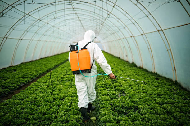Best Pest Control for Restaurants  in Cowan, TN