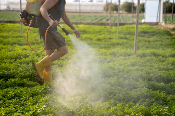 Best Local Pest Control Services  in Cowan, TN