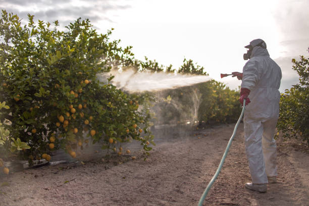 Best Affordable Pest Control Services  in Cowan, TN