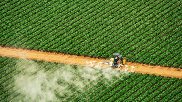 Best Pest Control Cost  in Cowan, TN