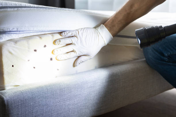 Best Pest Control Near Me in Cowan, TN